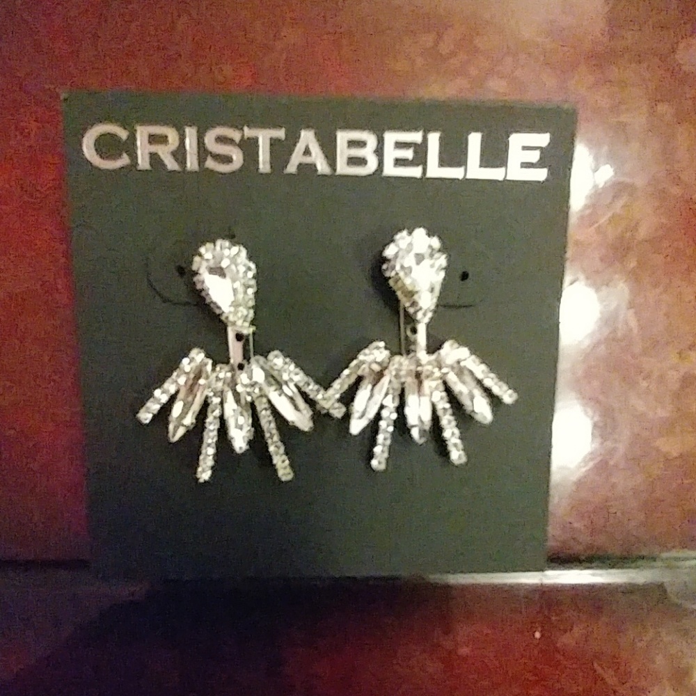 Costume Silver Earrings